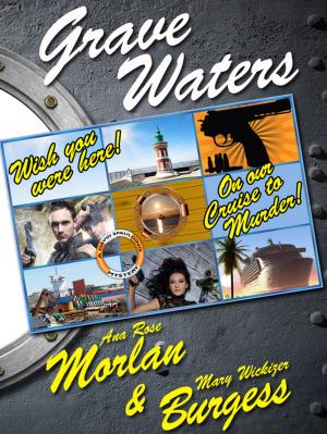 Book cover of Grave Waters