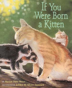Cover of the book If You Were Born a Kitten by Ed McBain