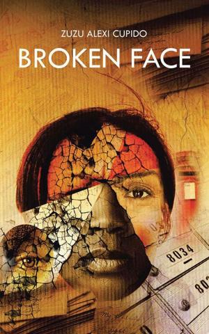 Cover of the book Broken Face by Nkululeko Peace Mnisi