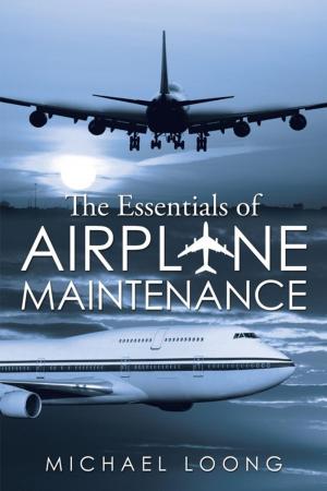 Cover of the book The Essentials of Airplane Maintenance by John Idakwoji