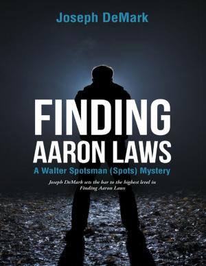 Cover of the book Finding Aaron Laws: A Walter Spotsman (Spots ) Mystery by Lynn Snyder