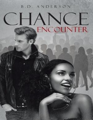 Cover of the book Chance Encounter by Sean Q Lee