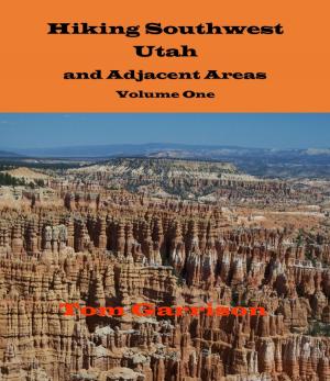 Cover of the book Hiking Southwest Utah and Adjacent Areas by Hamid Algar
