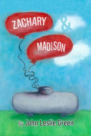 Cover of the book Zachary and Madison by iUFO Sightings