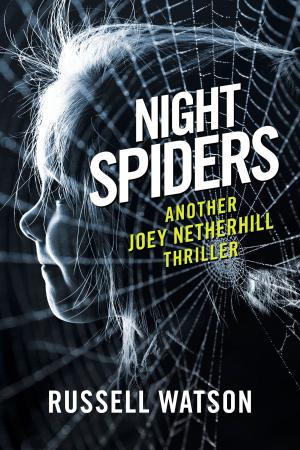 Cover of the book Night Spiders by Kerry B Collison