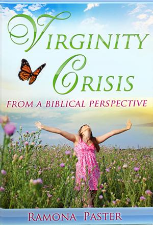 Cover of the book Virginity Crisis by Fabián Massa