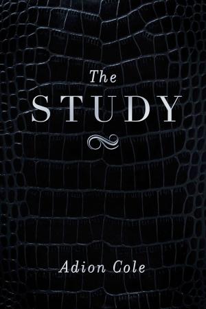 Cover of the book The Study by Charles M. Johnston MD