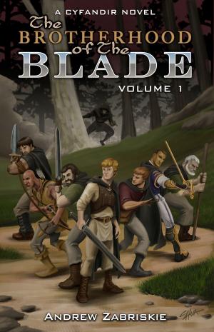 Cover of the book The Brotherhood of the Blade by DH Barbara