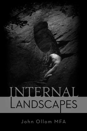 Cover of the book Internal Landscapes by Wilbert Hunt