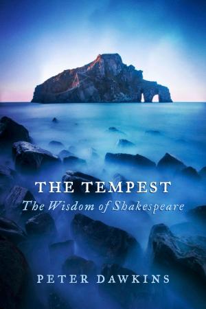 Cover of the book The Tempest by Tudor Bismark