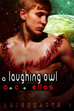 Cover of the book A Laughing Owl by Kat Barrett