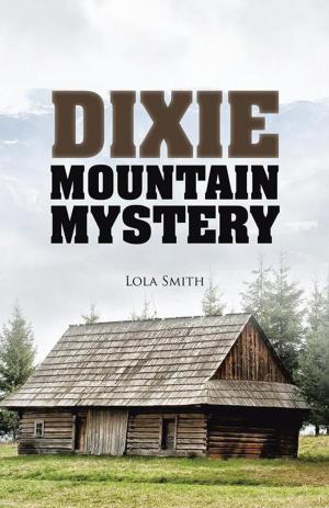 Cover of the book Dixie Mountain Mystery by AJ Rolls