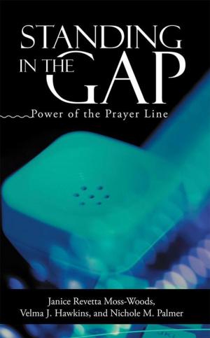 Cover of the book Standing in the Gap by Ally Bryce Neal