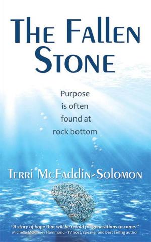 Cover of the book The Fallen Stone by Lisa Simmons