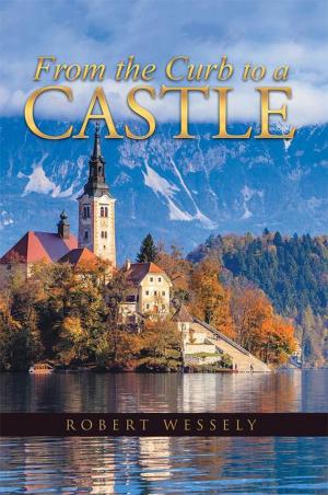Cover of the book From the Curb to a Castle by Grace Baldonado
