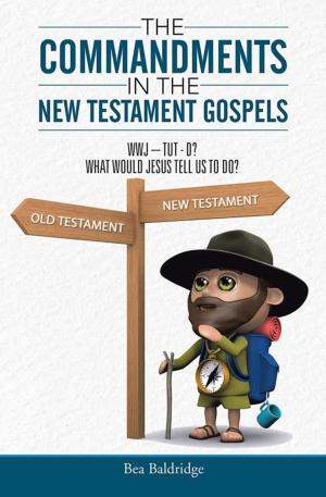 bigCover of the book The Commandments in the New Testament Gospels by 