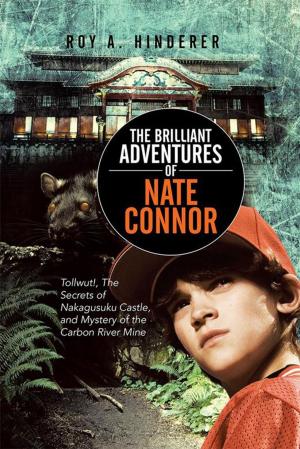Cover of the book The Brilliant Adventures of Nate Connor by Ruth Martin