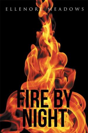 Cover of the book Fire by Night by Mia Landazuri-Weems Goy