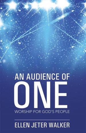 Cover of the book An Audience of One by Lisa Marie
