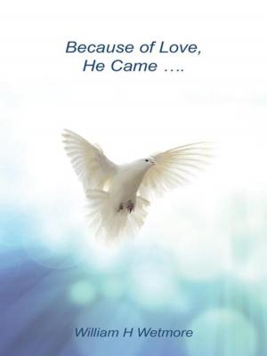 Cover of the book Because of Love, He Came... by M. Leanne Todd