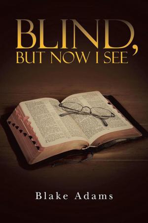 Cover of the book Blind, but Now I See by Jeff Reintgen