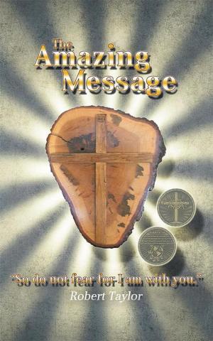 Cover of the book The Amazing Message by Marisol Martinez