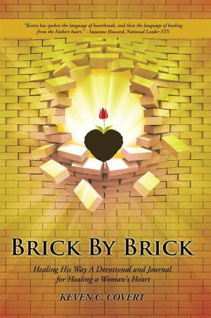 Cover of the book Brick by Brick by Barbara Merz, Glenn Merz