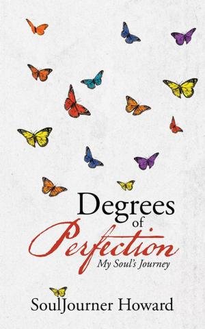 Cover of the book Degrees of Perfection by Amber Albee Swenson