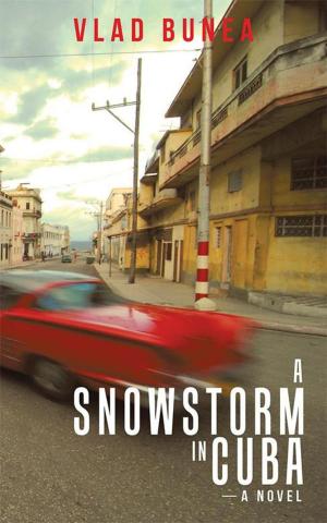 Cover of the book A Snowstorm in Cuba by Marjorie Janczak