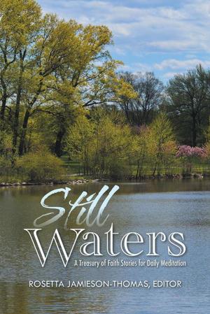 Cover of the book Still Waters by K. V. Donato