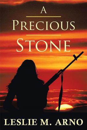 Cover of the book A Precious Stone by James M. Vesely