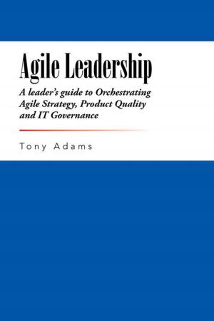 Cover of the book Agile Leadership by David Perlstein