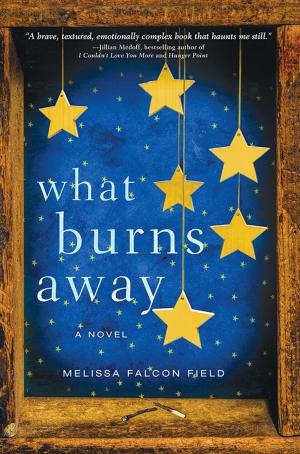 Cover of the book What Burns Away by D.E. Stevenson