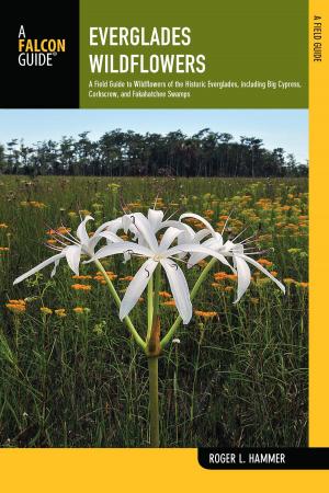Cover of the book Everglades Wildflowers by Christine Conners, Tim Conners