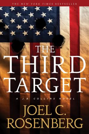 Cover of the book The Third Target by Candace Calvert