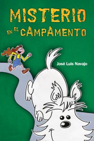 Cover of the book Misterio en el campamento by David Solá