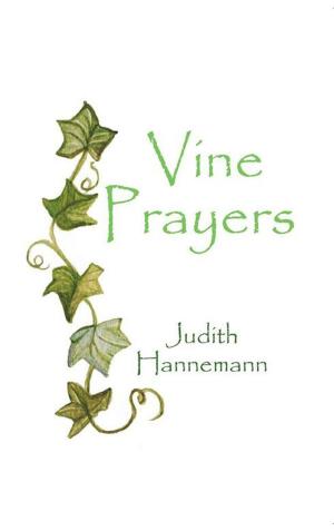 Cover of the book Vine Prayers by Jean Marie Rusin