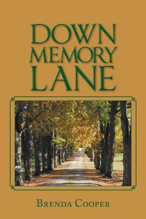 Cover of the book Down Memory Lane by Danielle Wertz