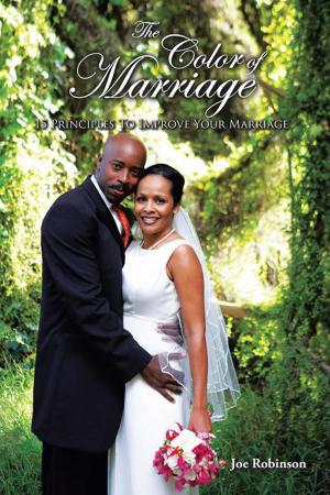 Book cover of The Color of Marriage