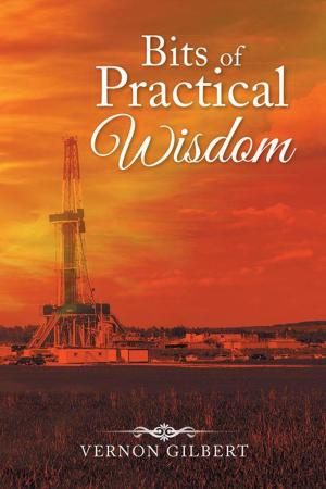 Cover of the book Bits of Practical Wisdom by Jan Phillips