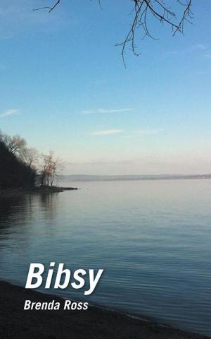 Cover of the book Bibsy by Olivia Woods