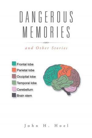 Cover of the book Dangerous Memories by Shell Abegglen