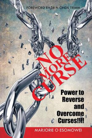 Cover of the book No More Curse by Jabulani Danisa