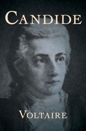 Cover of the book Candide by F. Scott Fitzgerald
