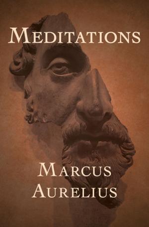 Cover of the book Meditations by Barbara Wilson