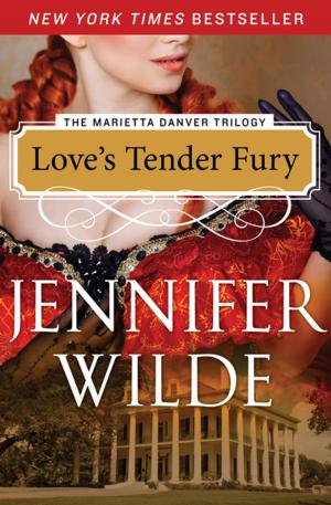 Cover of the book Love's Tender Fury by Bonnie Stanard