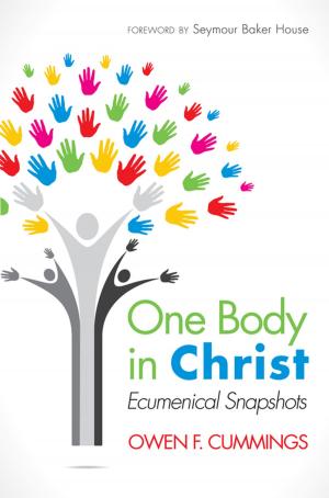 Cover of the book One Body in Christ by Russell  E. Richey