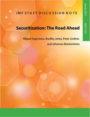 Cover of the book Securitization: The Road Ahead by International Monetary Fund. Independent Evaluation Office