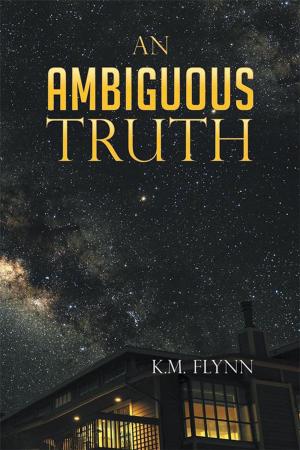 Cover of the book An Ambiguous Truth by George Monroe