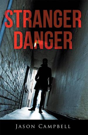 Cover of the book Stranger Danger by Faye Rothstein